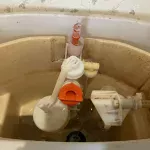 ダイヤフラム交換